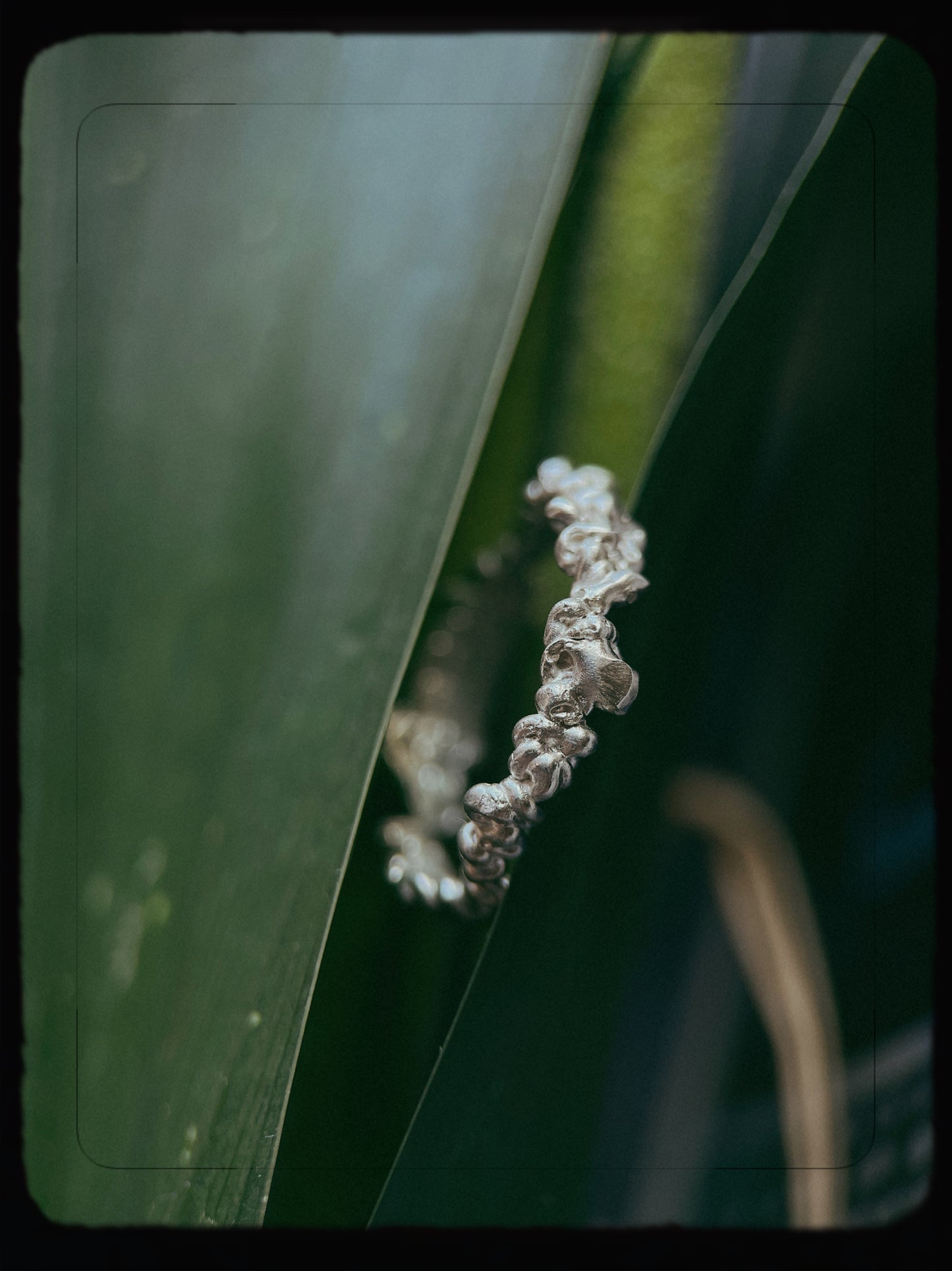 Linear Flow Ring II