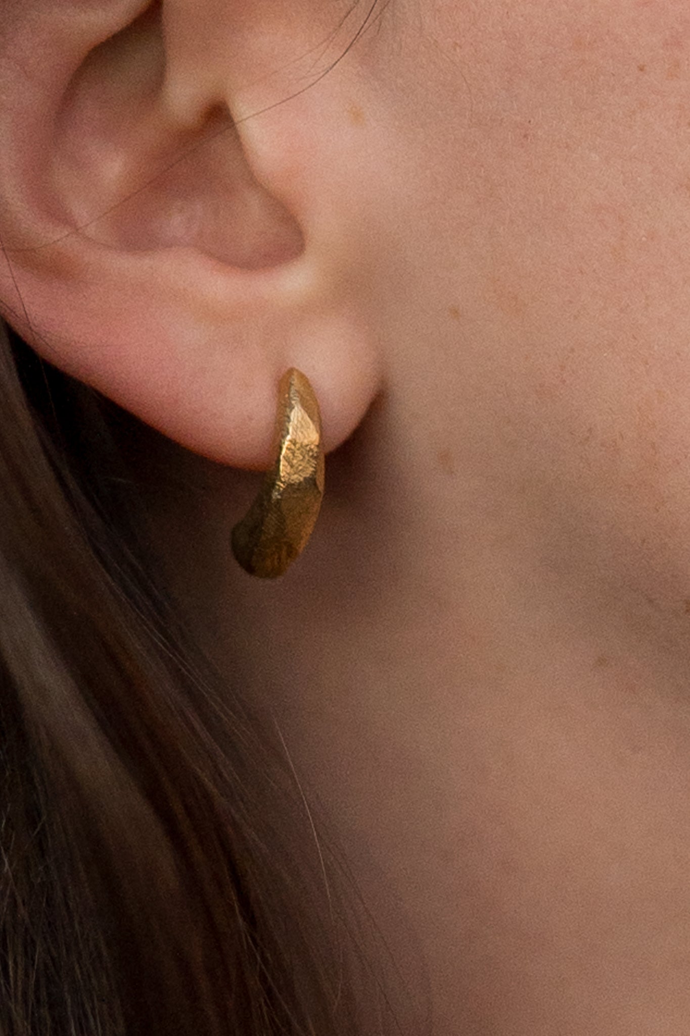 Terra Dome earrings