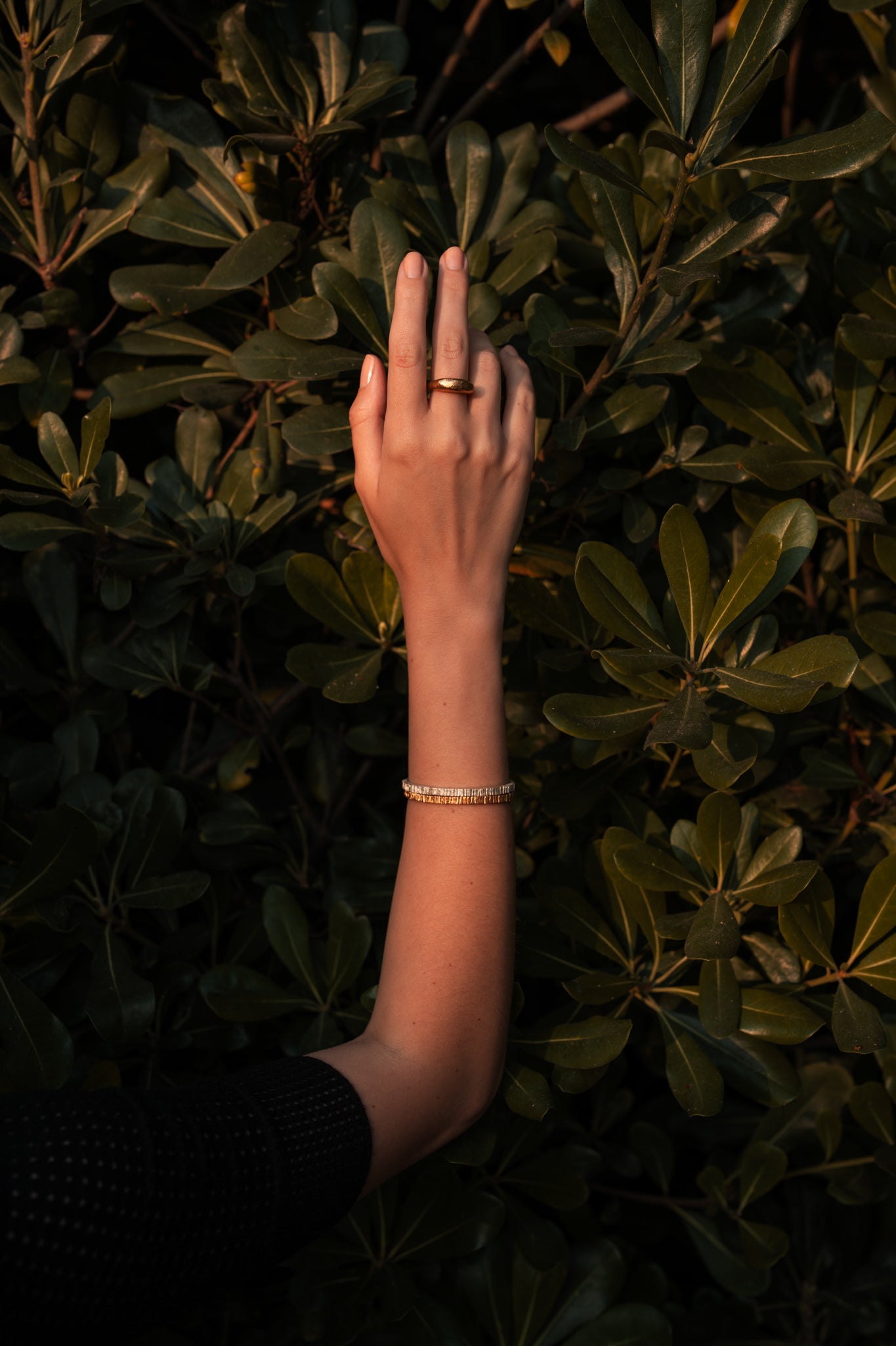 Terra Dome ring