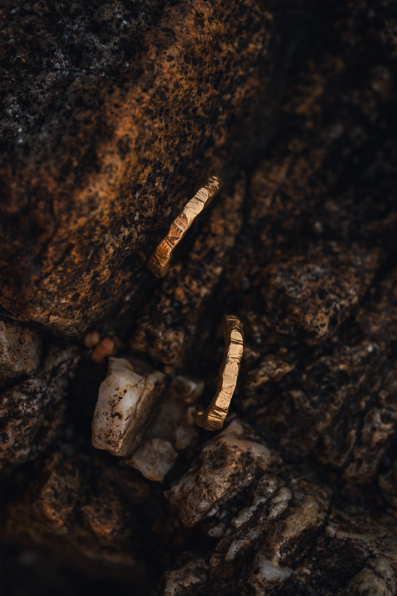 Terra Cotta maxi earrings
