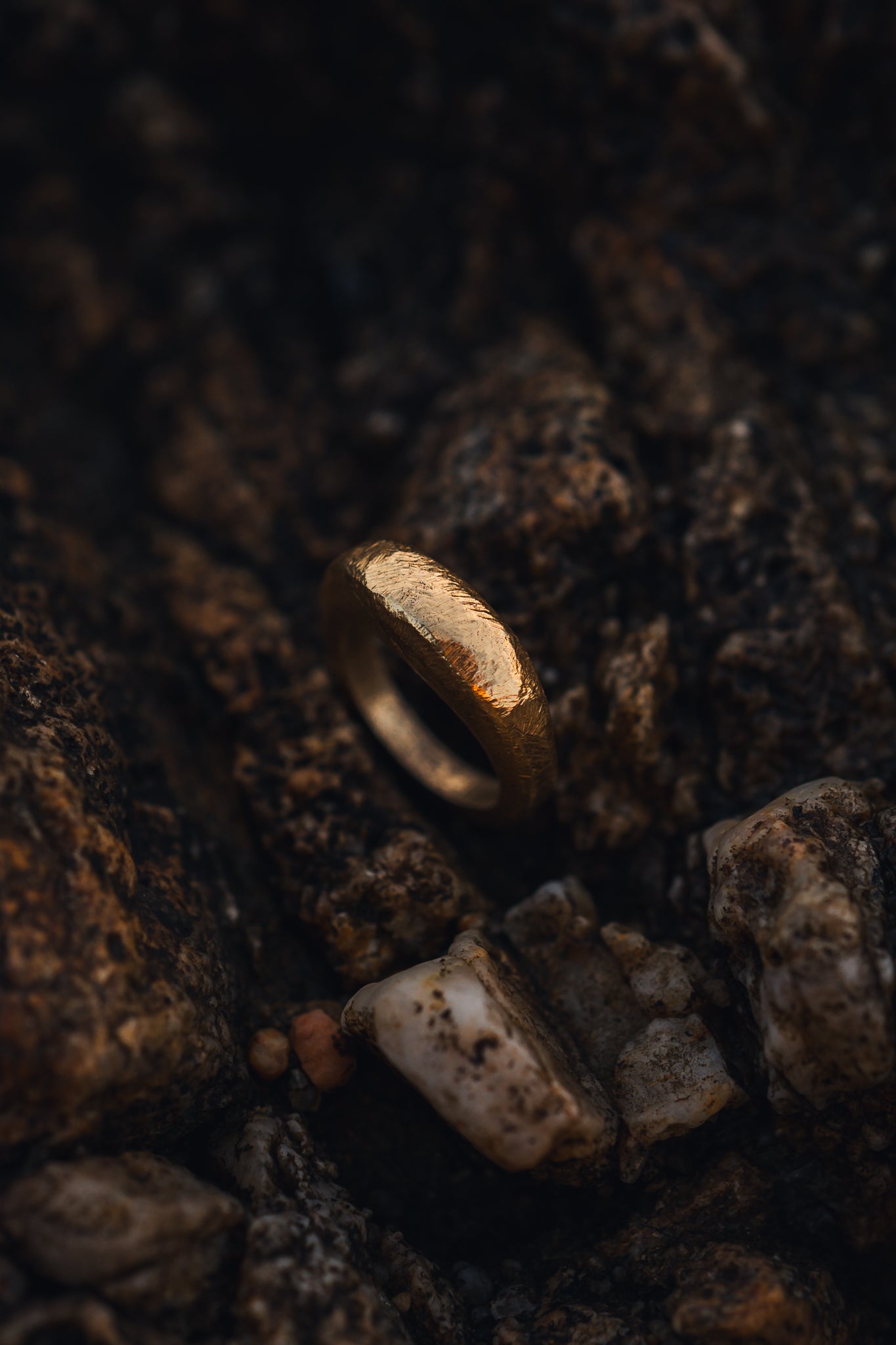Terra Dome ring