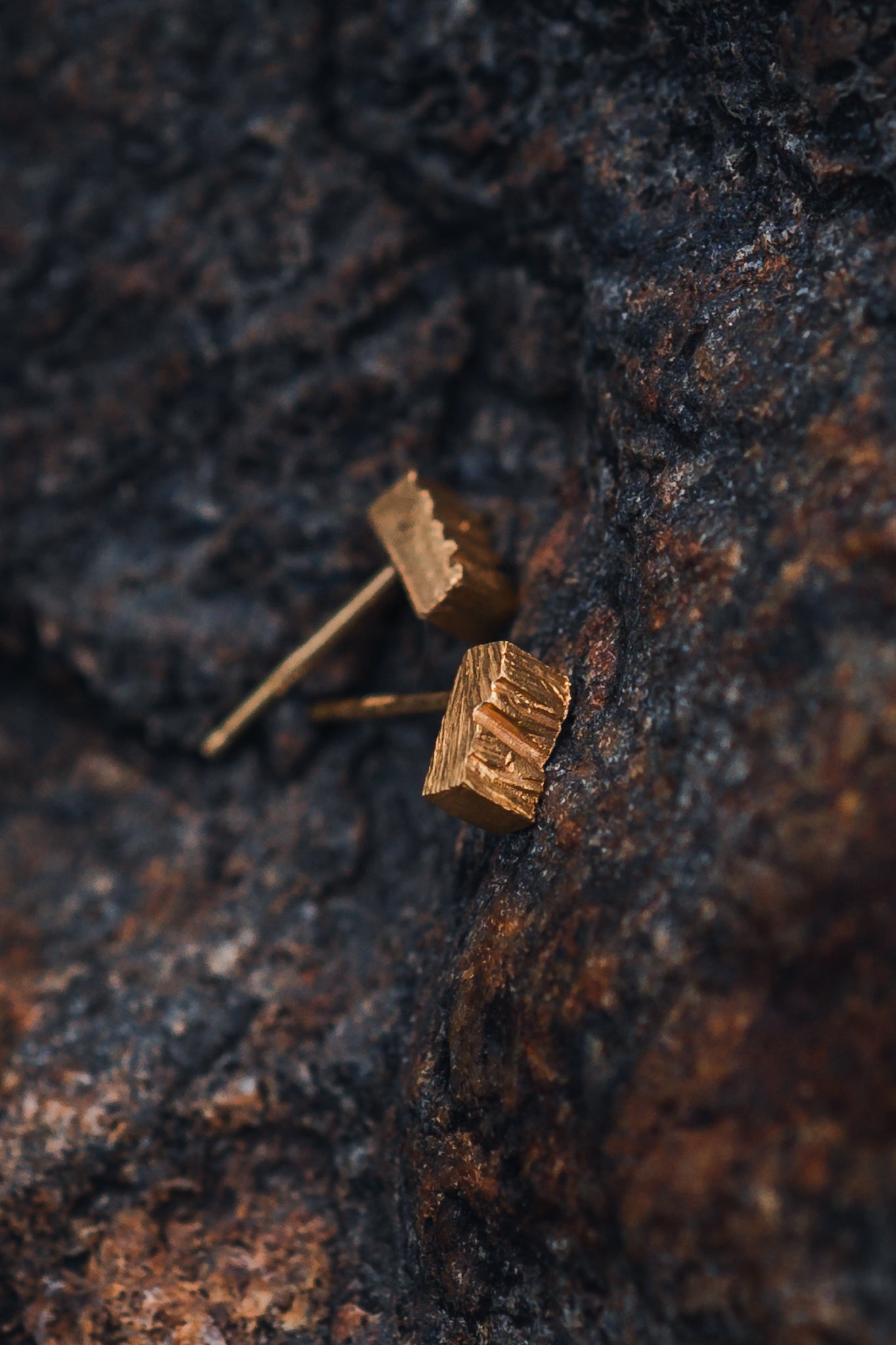 Terra Rough mini earrings