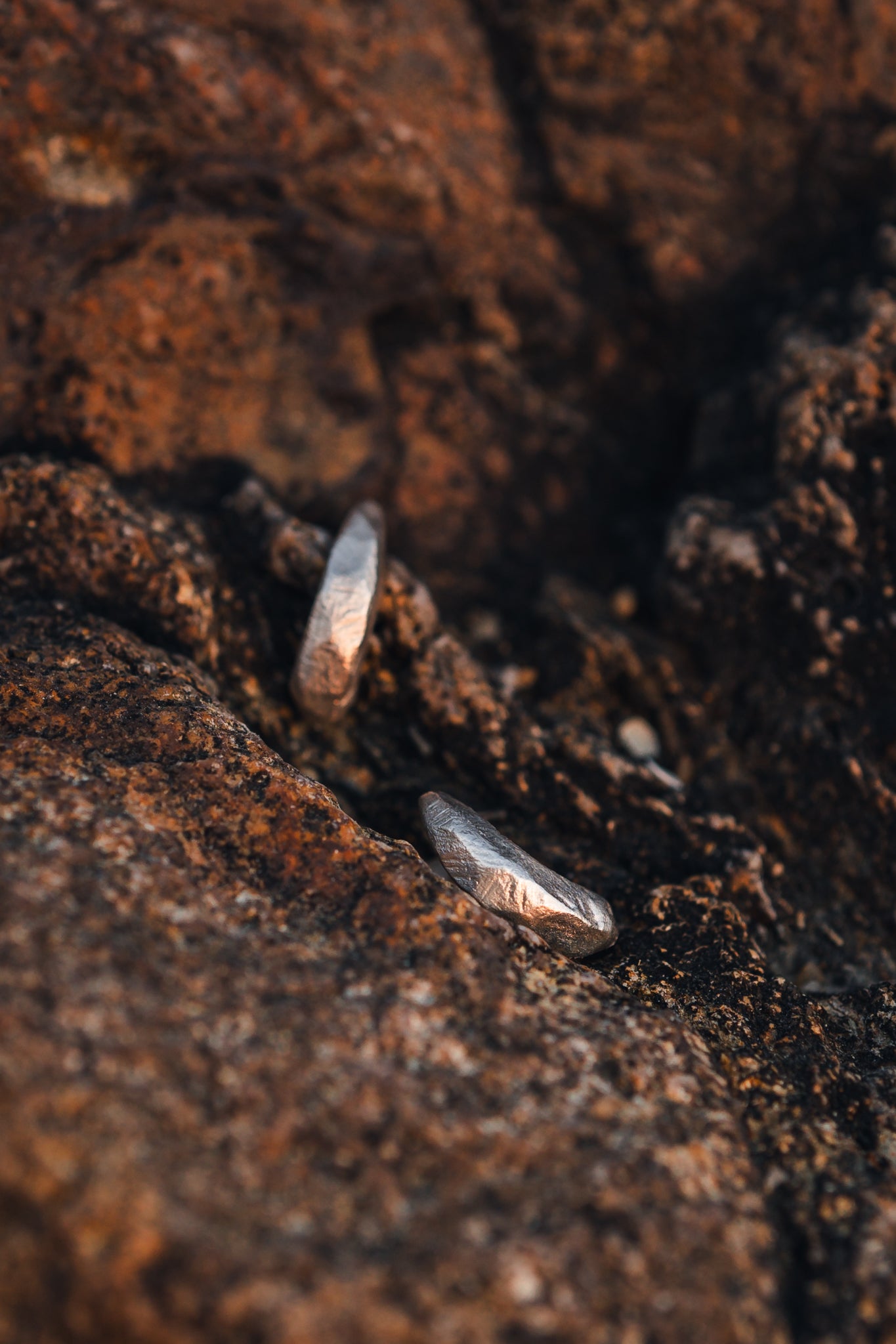 Terra Dome earrings
