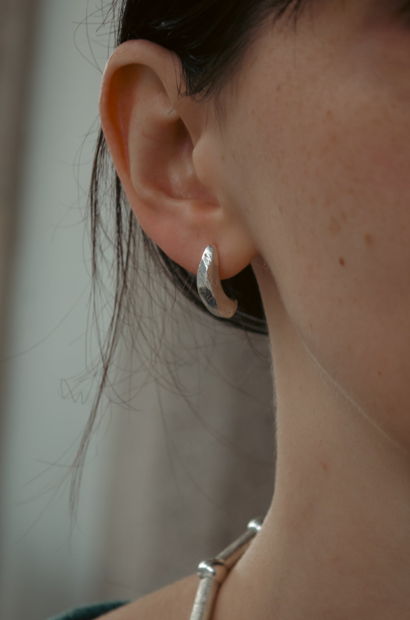 Terra Dome earrings