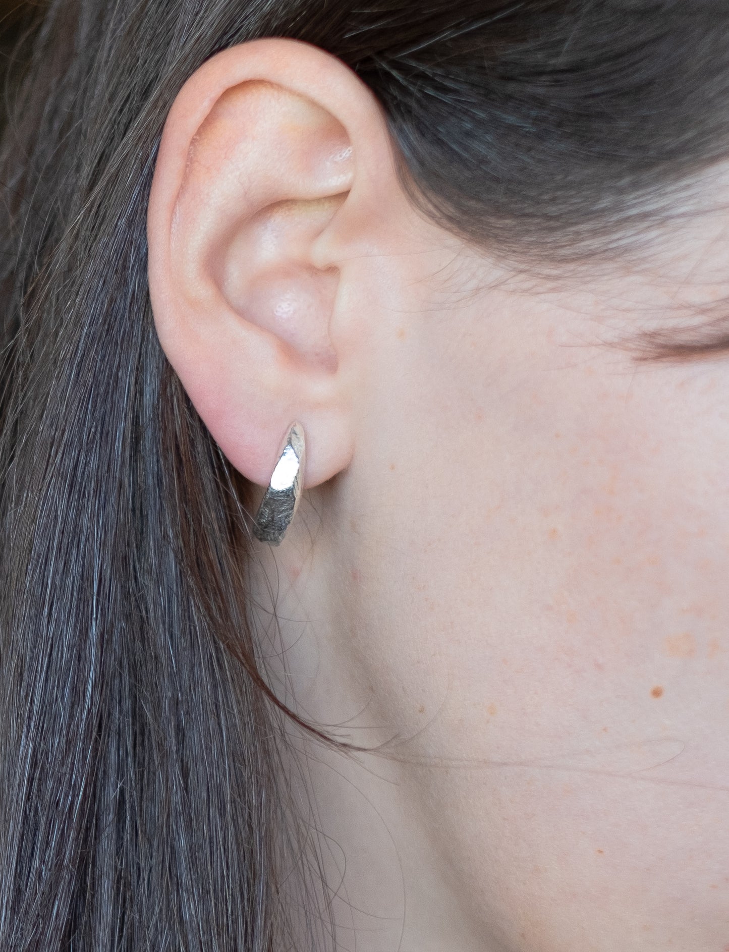 Terra Dome earrings