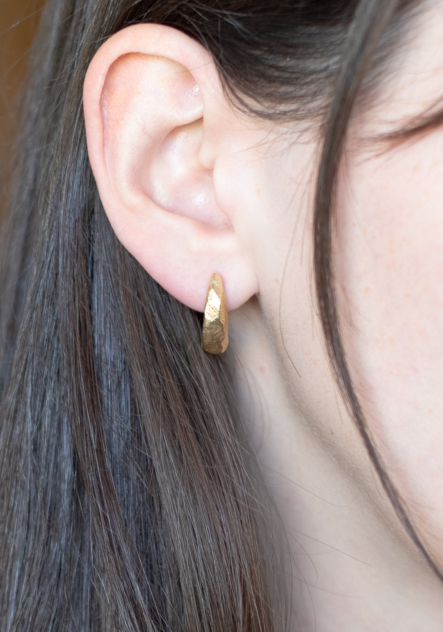 Terra Dome earrings