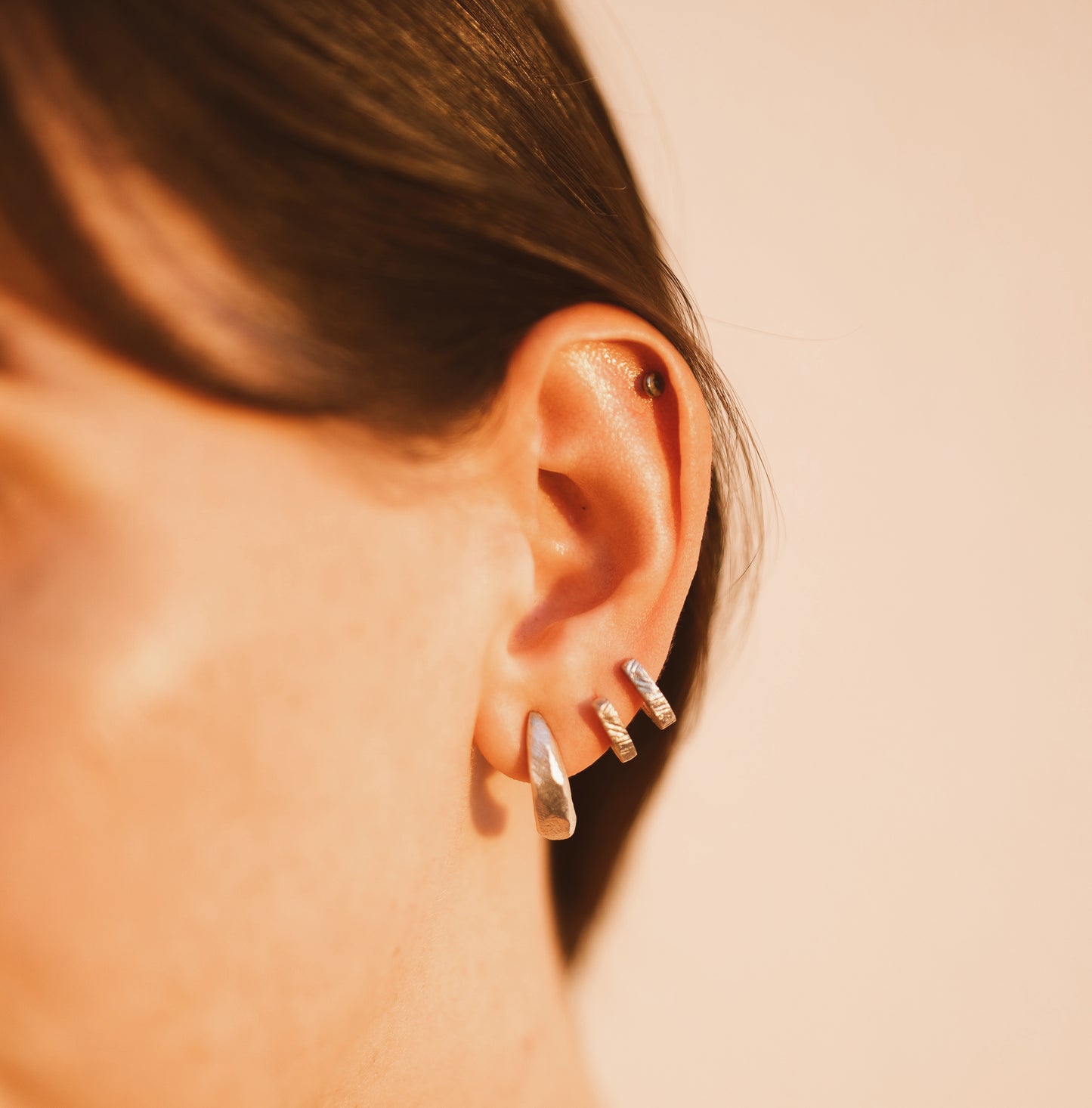 Terra Dome earrings